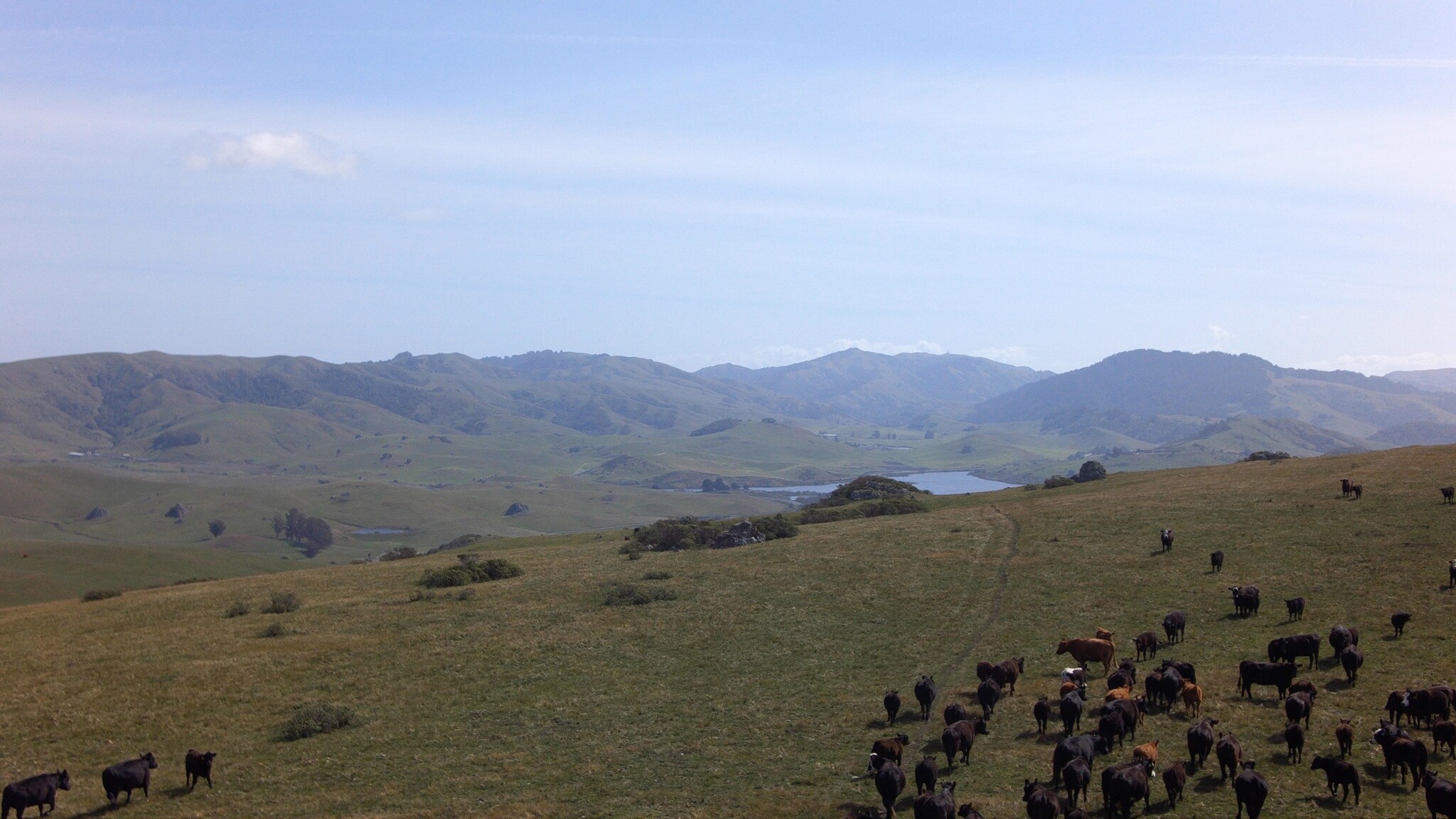 200 Tomasini Canyon Rd, Point Reyes Station, CA for sale Building Photo- Image 1 of 1