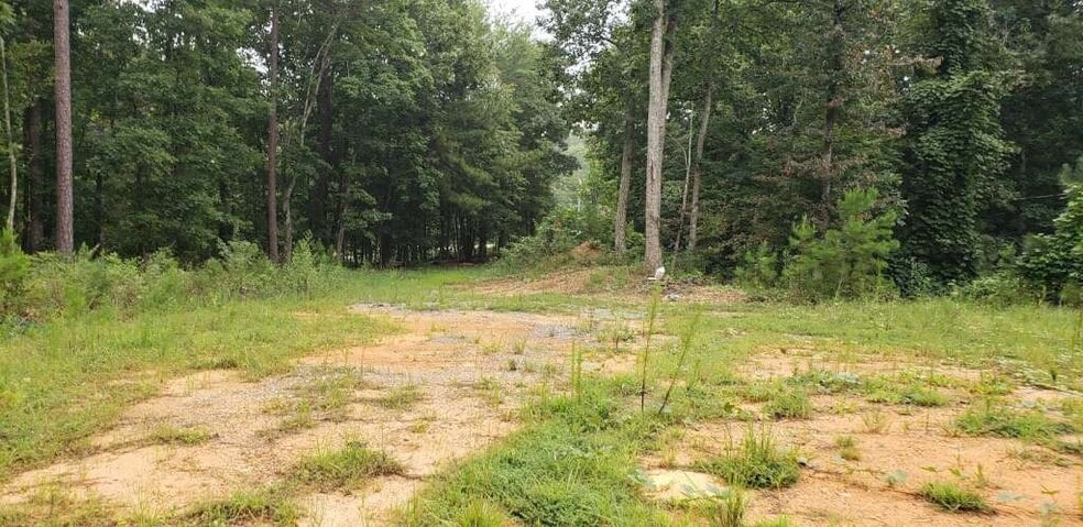 7667 Highway 101 N, Rockmart, GA for sale - Other - Image 2 of 4