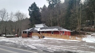 Plus de détails pour 1597 Hillside Rd, Shavertown, PA - Commerce de détail à vendre