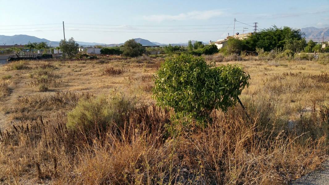 Land in Aspe for sale Site Plan- Image 1 of 5