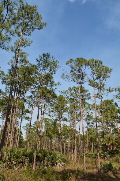 8425 SW Martin Hwy, Palm City, FL à vendre - Autre - Image 2 de 19