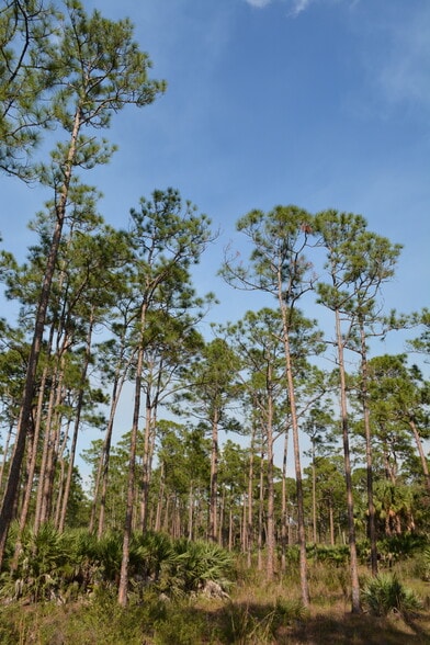 8425 SW Martin Hwy, Palm City, FL for sale - Other - Image 2 of 19