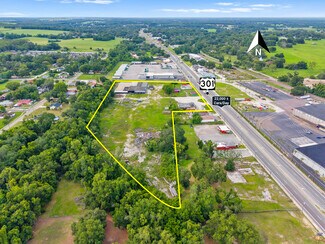 Plus de détails pour 15401 US 301, Dade City, FL - Terrain à vendre