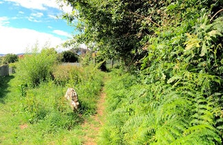 More details for Camiño Pumariños, S/N, Vigo - Land for Sale