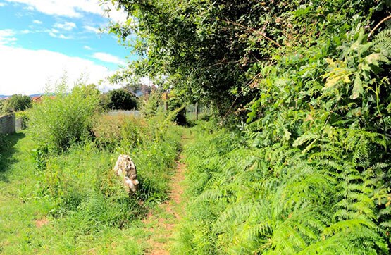 Camiño Pumariños, S/N, Vigo, Pontevedra for sale Building Photo- Image 1 of 5