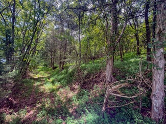 More details for 910 Old Fort Ln, Chuckey, TN - Land for Sale