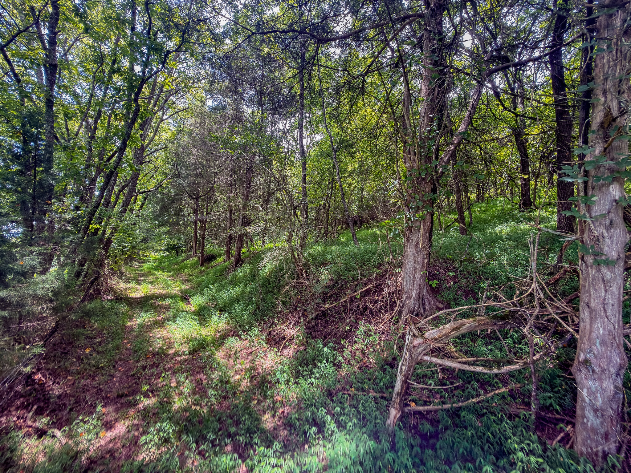 910 Old Fort Ln, Chuckey, TN for sale Primary Photo- Image 1 of 9