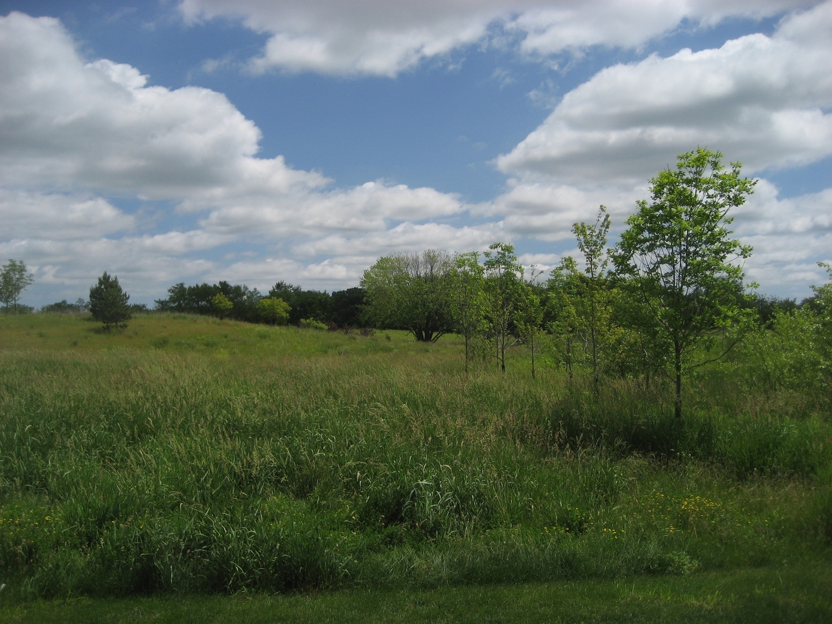 41W811 Powers Rd, Huntley, IL for sale Building Photo- Image 1 of 10