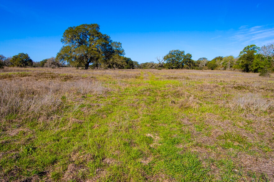 1984 Highway 71, Columbus, TX for sale - Other - Image 2 of 49