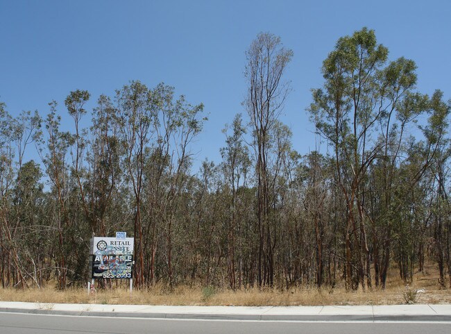 Plus de détails pour Dexter Ave, Lake Elsinore, CA - Terrain à vendre