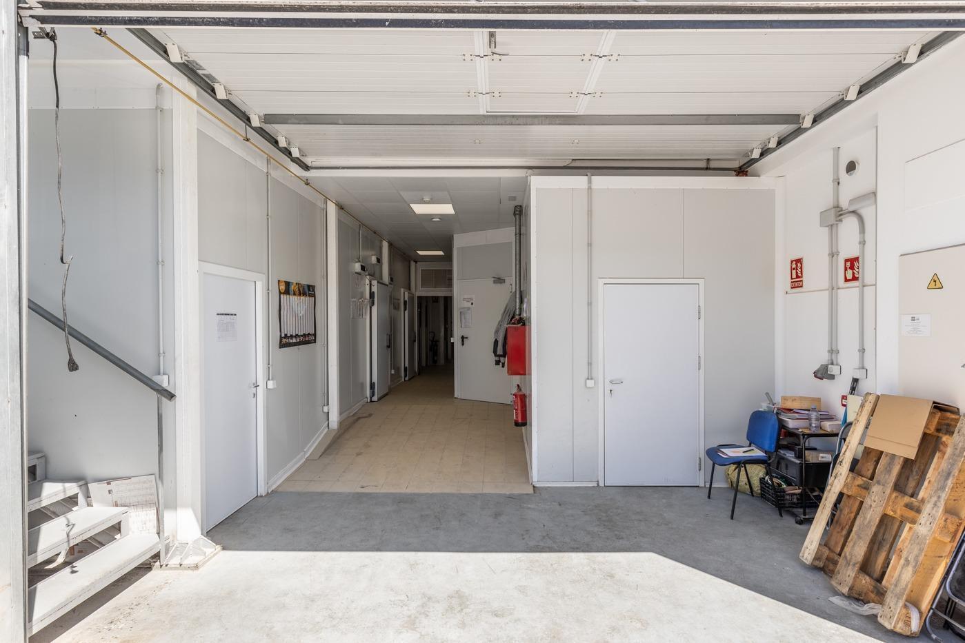 Industriel dans Palma, Islas Baleares à vendre Photo intérieure- Image 1 de 22