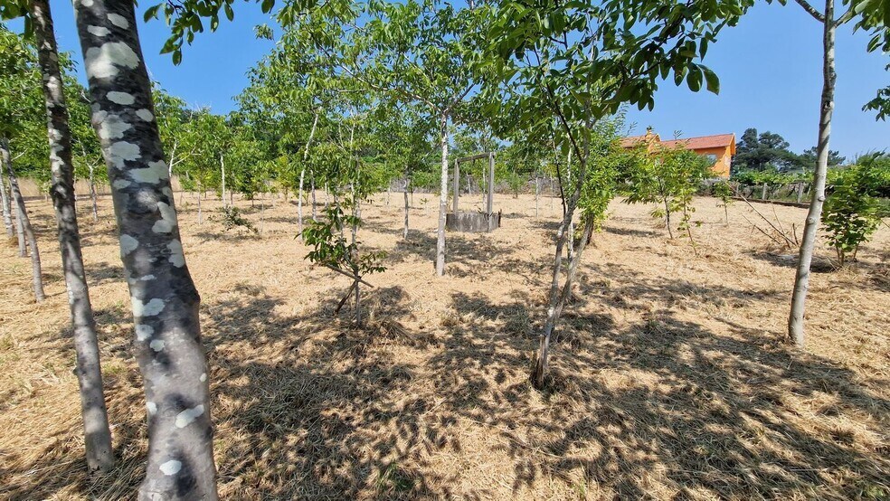 Terrain dans O Rosal, Pontevedra à vendre - Photo principale - Image 3 de 21
