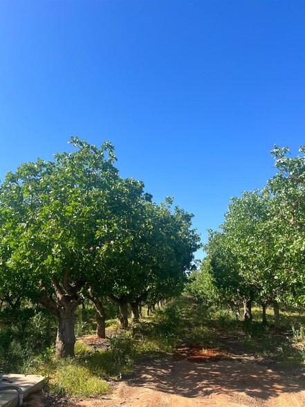 1 Road 36, Madera, CA for sale - Primary Photo - Image 1 of 2