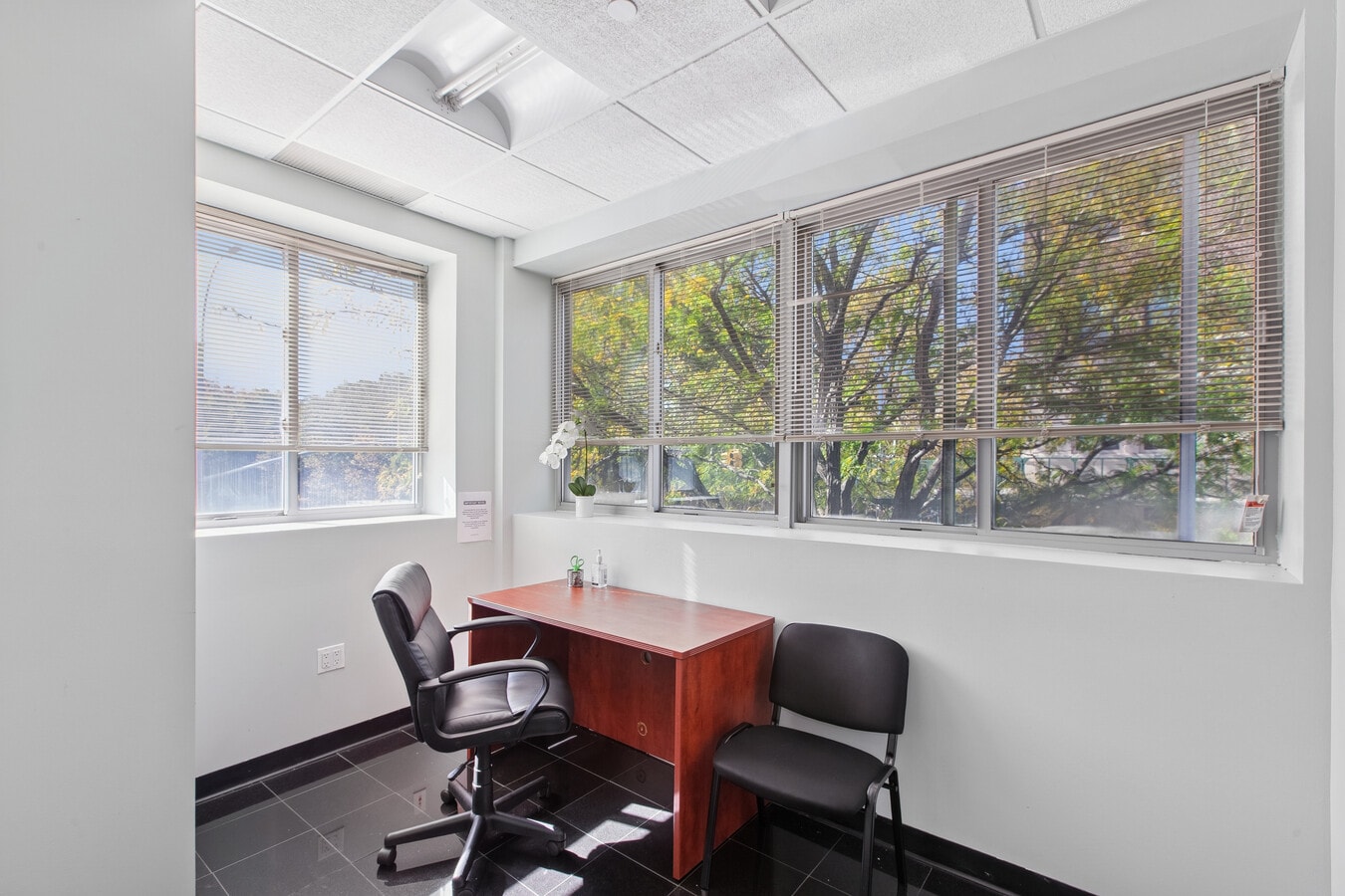 55 Greene Ave, Brooklyn, NY 11238 - Unit 2B - - Interior Photo - Image 2 of 4