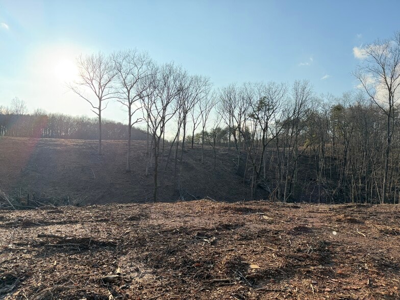 260 Arnold Rd NE, Fairmount, GA for sale - Other - Image 3 of 54