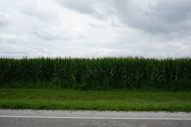 7500 State Rte 50, Manteno, IL à vendre - Photo du bâtiment - Image 2 de 6
