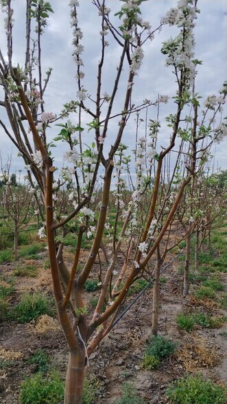 à vendre - Photo du bâtiment - Image 3 de 5