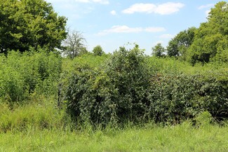 Plus de détails pour 3210 Hwy 35, Alvin, TX - Terrain à vendre
