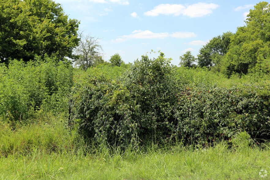 3210 Hwy 35, Alvin, TX for lease - Primary Photo - Image 1 of 8