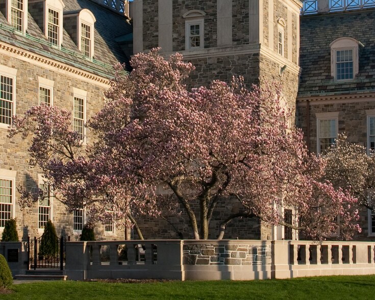 85 Civic Center Plz, Poughkeepsie, NY à louer - Photo du bâtiment - Image 3 de 9