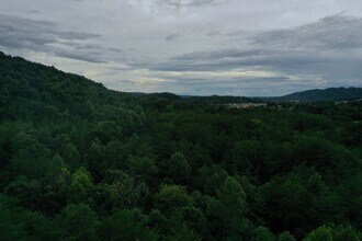 220 Milldale Rd, Dandridge, TN - Aerial  map view - Image1