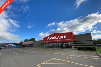 Plus de détails pour 100 S Cascade Dr, Springville, NY - Commerce de détail à vendre