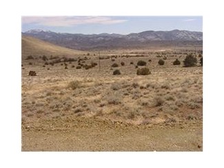 Plus de détails pour 320 Highway 341, Carson City, NV - Terrain à vendre