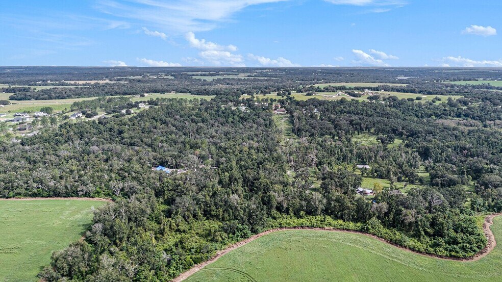 14638 Treeleaf Ln, Dade City, FL à vendre - Photo du bâtiment - Image 2 de 4