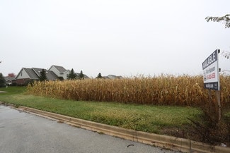 Plus de détails pour W Wilmington Rd, Peotone, IL - Terrain à vendre