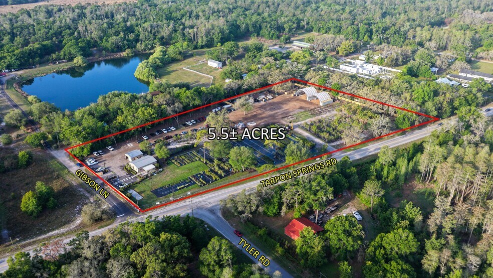 12980 Tarpon Springs Rd, Odessa, FL à vendre - Aérien - Image 1 de 4