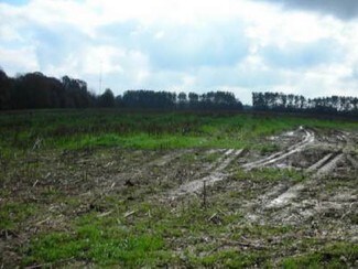 Plus de détails pour 0 Hwy 17 & I85, Lavonia, GA - Terrain à vendre