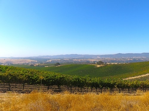 1172 San Marcos Rd, Paso Robles, CA à vendre - Photo du bâtiment - Image 2 de 9