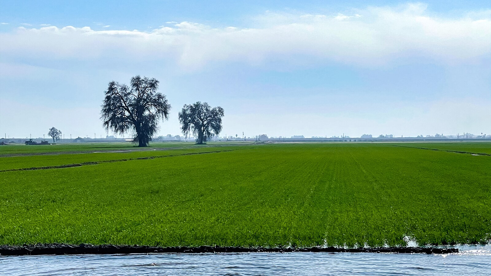 N. of  Hwy 166 , SW of Bakersfield hwy, Bakersfield, CA à vendre Photo principale- Image 1 de 5