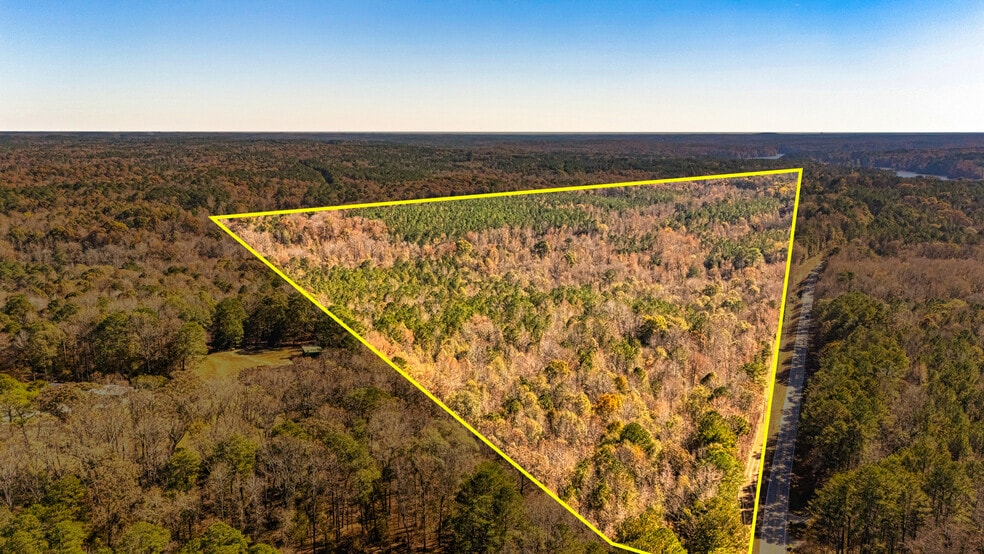 3201 Tommy Lee Cook Rd, Newnan, GA for sale - Aerial - Image 3 of 8