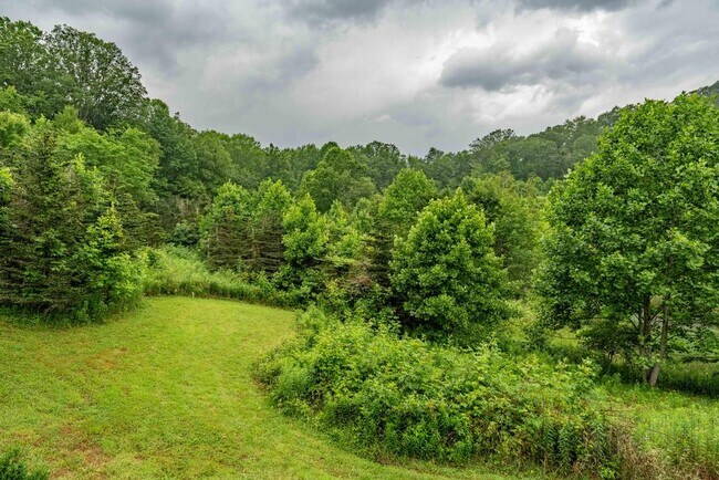 Plus de détails pour 306 Bear Branch rd, Roan Mountain, TN - Terrain à vendre
