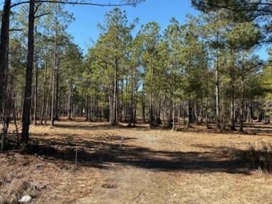 North Fraser St, Georgetown, SC for sale Floor Plan- Image 1 of 5