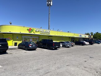 Plus de détails pour 3201 NW 87th St, Miami, FL - Vente au détail à louer