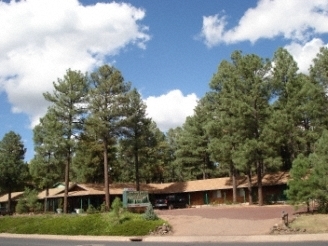 1078 E White Mountain Blvd, Pinetop, AZ à vendre - Photo principale - Image 1 de 1