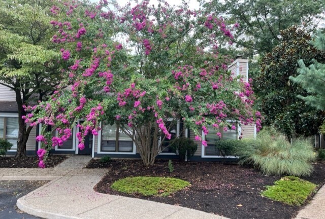 1930 Marlton Pike E, Cherry Hill, NJ à louer - Photo du bâtiment - Image 2 de 7