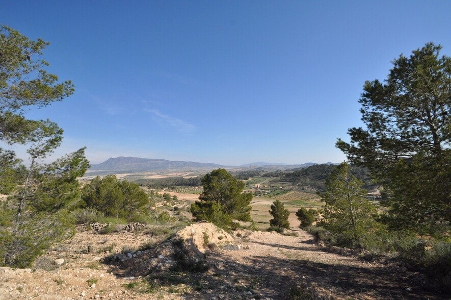 Terrain dans Jumilla, Murcia à vendre - Aérien - Image 2 de 9