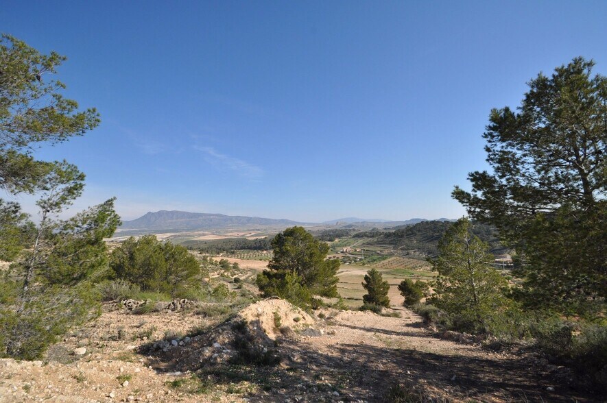 Terrain dans Jumilla, Murcia à vendre - Aérien - Image 2 de 9
