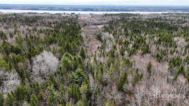 81 New Brunswick 11, Newcastle, NB for sale - Aerial - Image 1 of 3