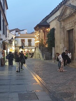 More details for Calle Blanco Belmonte, 5, Córdoba - Retail for Sale