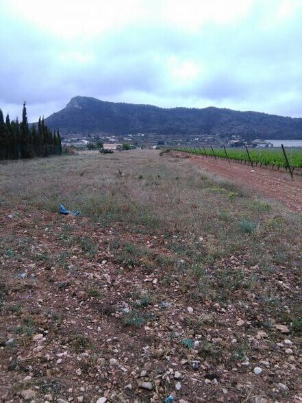 Terrain dans Aspe, Alicante à vendre - Aérien - Image 2 de 2