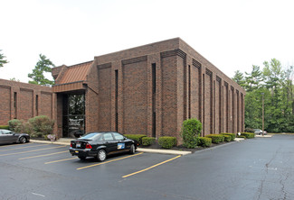 More details for 67 E Wilson Bridge Rd, Worthington, OH - Office for Lease