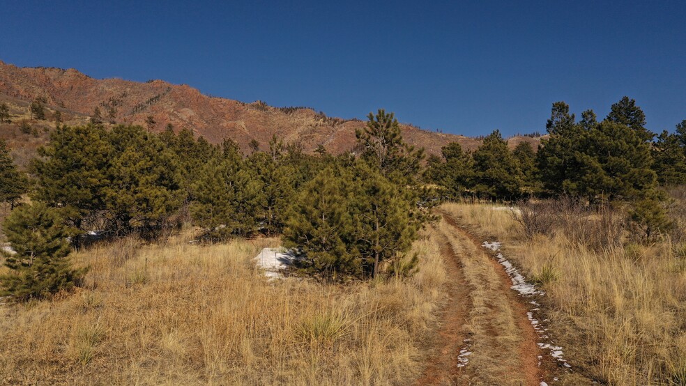 4551 Pyramid Mountain Road r, Cascade, CO for sale - Other - Image 1 of 9