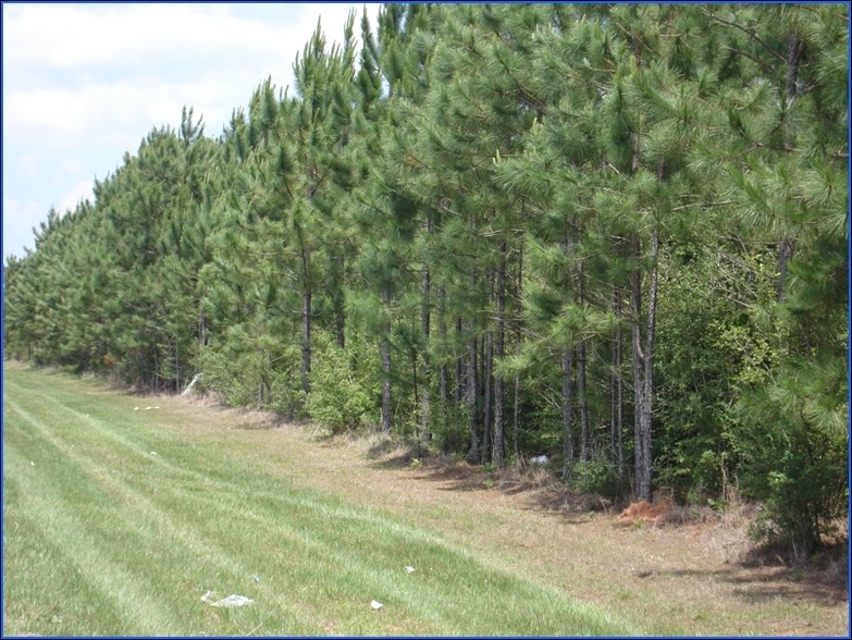 Interstate 10 And Highway 59, Loxley, AL à vendre - Photo du bâtiment - Image 1 de 1