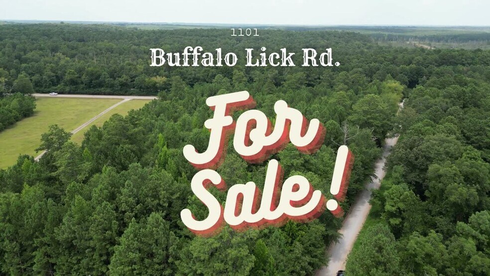 1201 Buffalo Lick rd, Union Point, GA à vendre - Vidéo sur l’inscription commerciale - Image 2 de 2