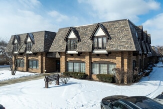 Plus de détails pour 28045 N Ashley Cir, Libertyville, IL - Flex à vendre