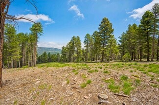 More details for 12301 Black Hawk Tr, Conifer, CO - Land for Sale